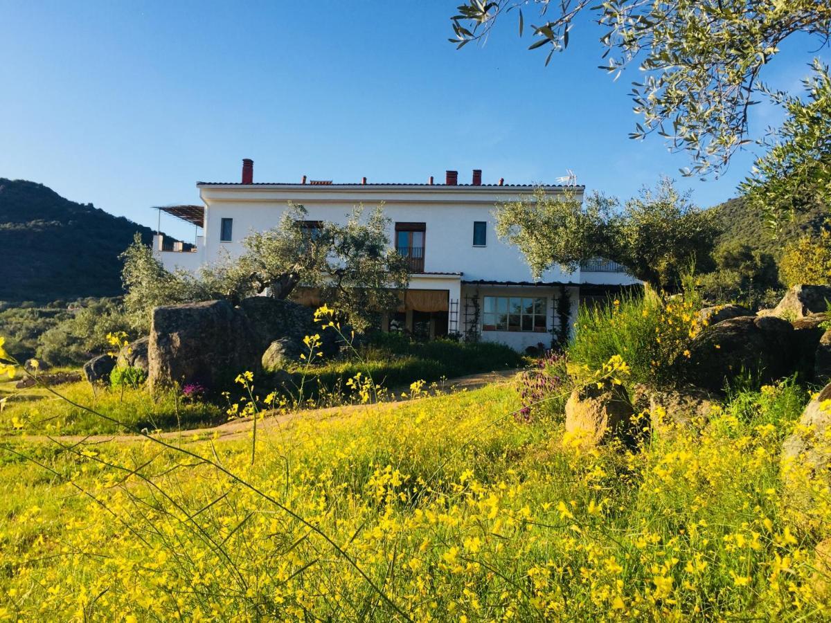 Flores Amarillas B&B Almoharin ภายนอก รูปภาพ