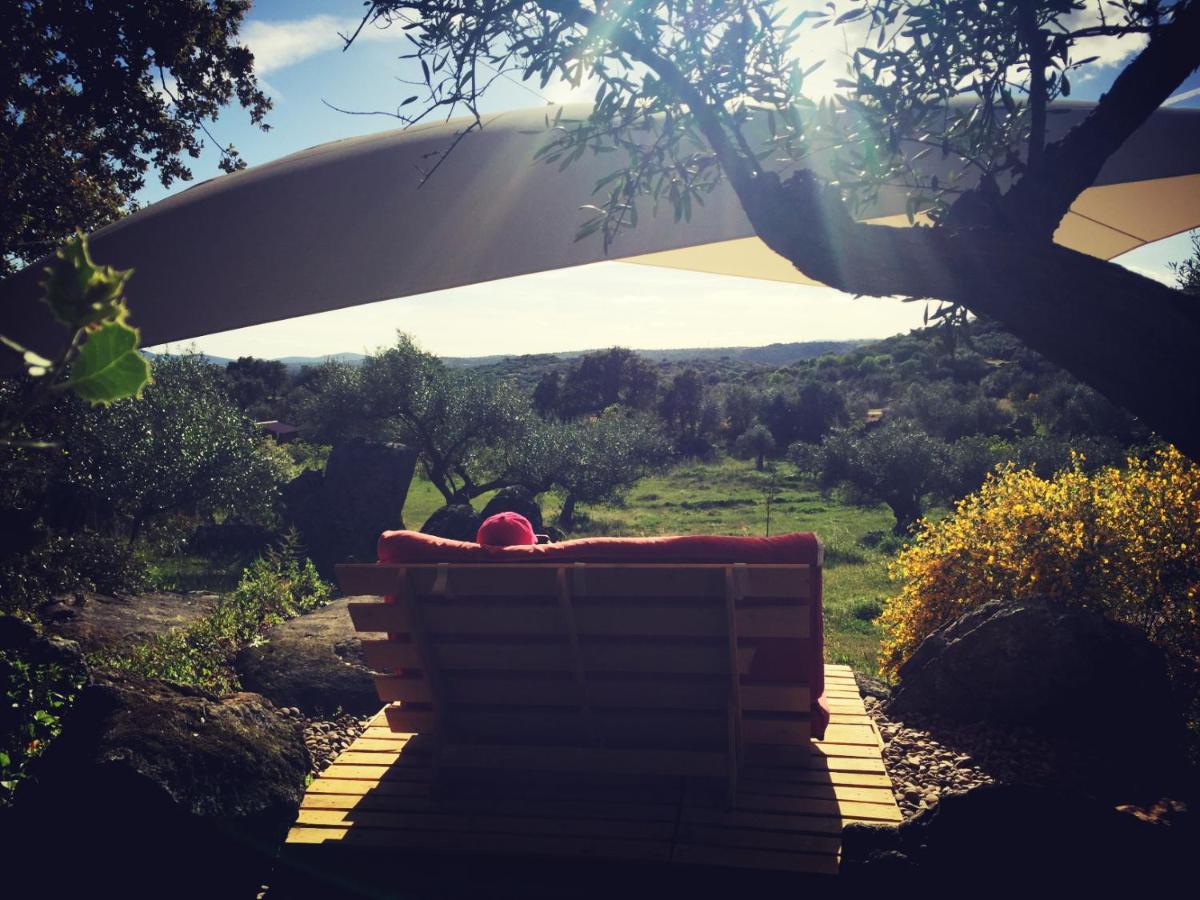 Flores Amarillas B&B Almoharin ภายนอก รูปภาพ