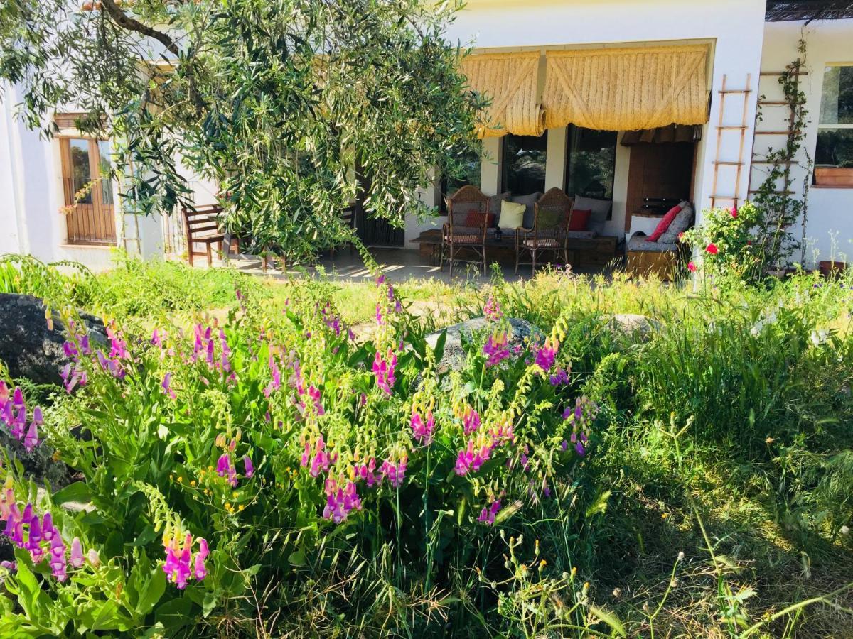 Flores Amarillas B&B Almoharin ภายนอก รูปภาพ