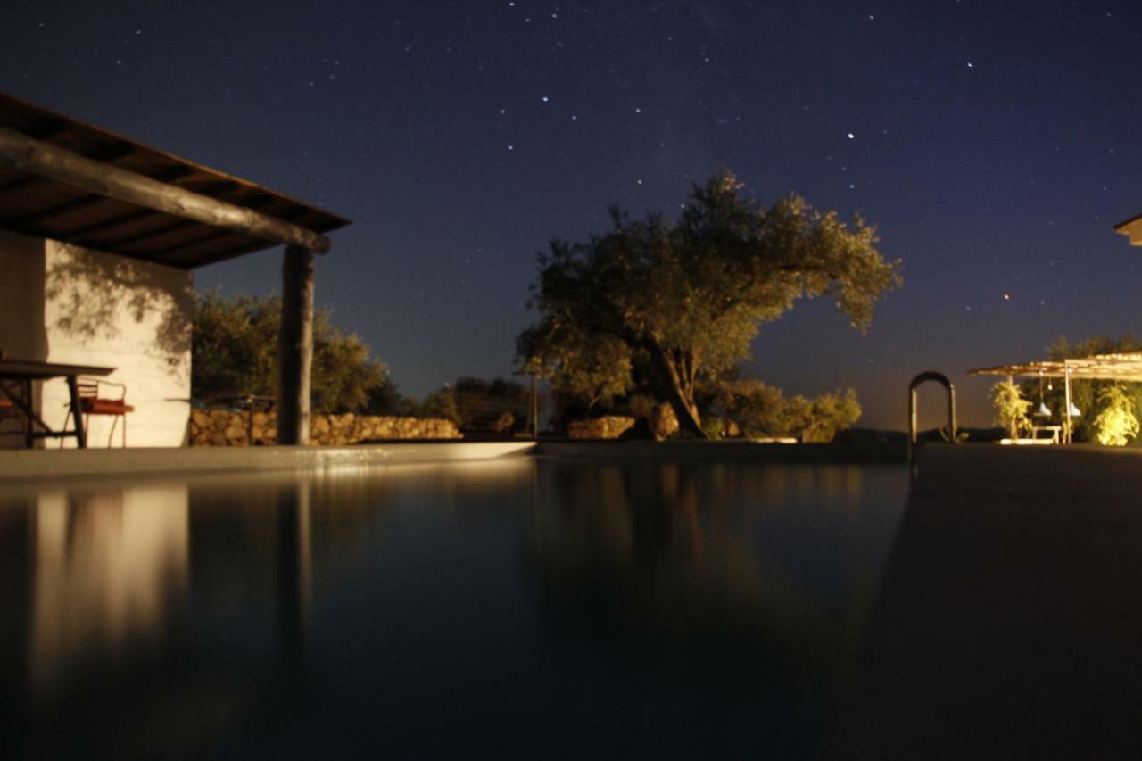 Flores Amarillas B&B Almoharin ภายนอก รูปภาพ