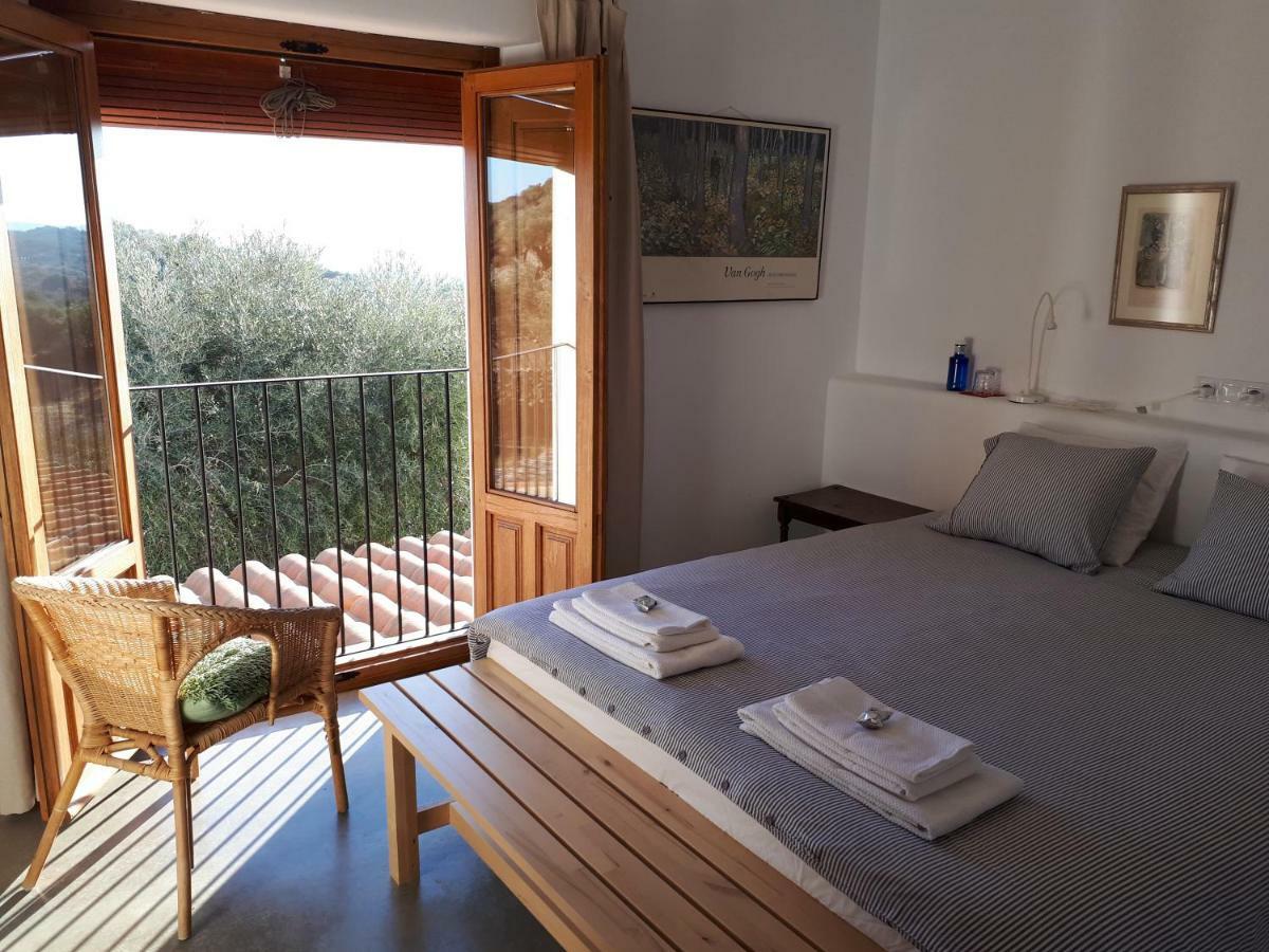 Flores Amarillas B&B Almoharin ภายนอก รูปภาพ