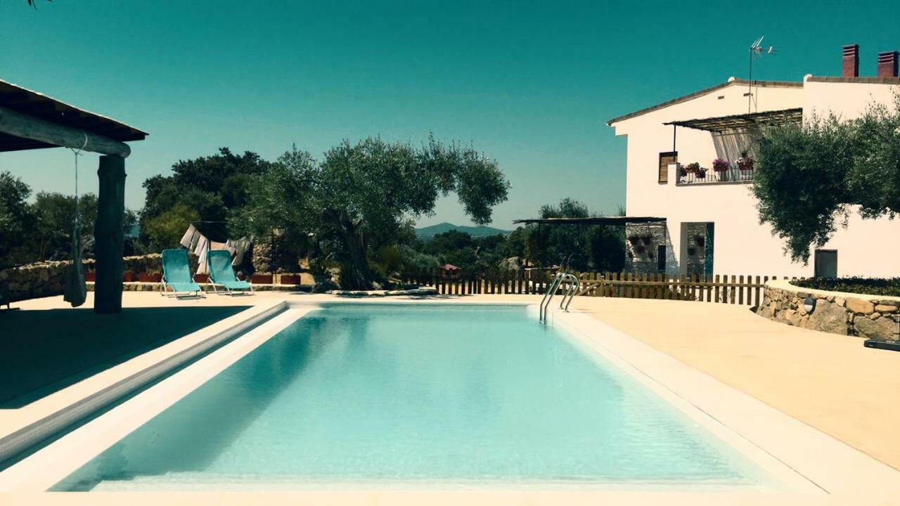Flores Amarillas B&B Almoharin ภายนอก รูปภาพ